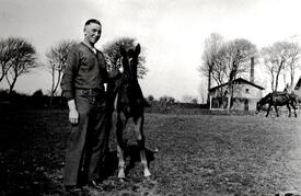 1941 Landwirt und Fohlen auf der Koppel am Hof Dibbern in Honigfleth