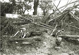 Am 15. Juni 1944 wurde die Stadt Wilster bombardiert und dabei das Große Gartenhaus im Bürgermeister Garten zerstört