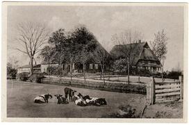 1940 Gehöfte in Rothenmeer in der Gemeinde Dammfleth in der Wilstermarsch