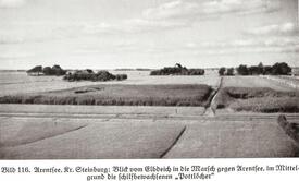1937 Blick vom Elbdeich auf Gehöfte in Arentsee