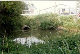 1986 Wilsterau bei der Langen Reihe in Wilster - Tragisches "Ende" eines Gewässers