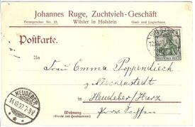1907 Zuchtviehgeschäft Johannes Ruge in Wilster
