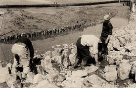 ca. 1960 Wasserbauwerker bei der Herstellung einer Deichfußsicherung an der Elbe