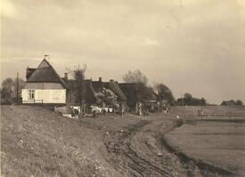 1925 St.Margarethen, Häuser, Gehölze und Gärten auf dem Deich an der Elbe