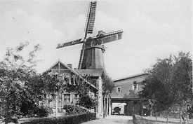 1943 Wewelsfleth - Windmühle an der damaligen Mühlenstraße
