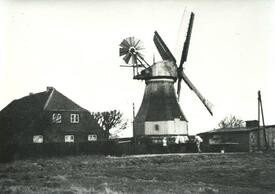 1936 Kornwindmühle Aurora in Neufeld in der Gemeinde Dammfleth