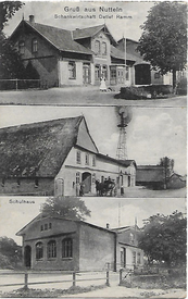 1913 Nutteln - Schankwirtschaft, Gehöft mit Windrotor, Schulhaus  