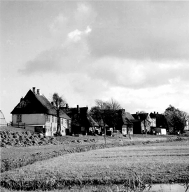 1925 St.Margarethen, Häuser, Gehölze und Gärten auf dem Deich