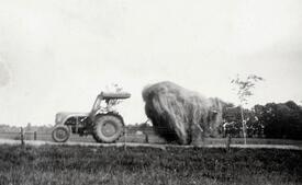 1952 Traktoren lösen die Pferde als Zug- und Arbeitstiere ab auf dem Hof Dibbern in Honigfleth, Gemeinde Stördorf in der Wilstermarsch