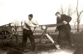 1950 Sägearbeiten mit der Zweimann-Schrotsäge auf dem Hof Dibbern in Honigfleth
