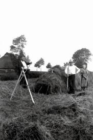 1950 Heuernte in der Wilstermarsch - Das angetrocknete Gras wurde überlappend auf sogenannten Heureutern aufgeschichtet, um so den Trocknungsvorgang zu beschleunigen und eventuelles Regenwasser schnell abfließen zu lassen