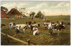 1907 Bauernhof in Hackeboe Sachsenbande; Kühe werden von Hand gemolken