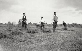 1940 auf einem Hof in Kathen - Landwirte, Kriegsgefangene und Deportierte bei der Erntearbeit