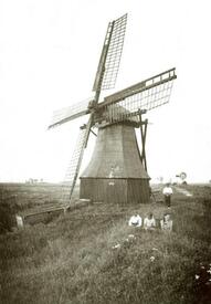 1933 Achtkant-Schöpfmühle in Dwerfeld in der Wilstermarsch