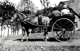 1949 Ausfahrt mit der Pferdekutsche - Gig - in der Wilstermarsch
