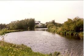 1986 Spaziergang entlang der Wilsterau - Großer Brook
