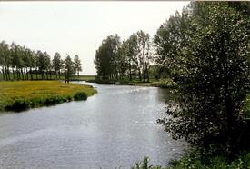 1986 Spaziergang entlang der Wilsterau - Dammfleth und Großer Brook