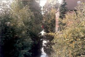 1986 Wilsterau, Blick in den sich in einem völlig verwahrlosten Unterhaltungszustand befindlichen Stadtarm