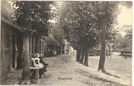 1909 Wewelsfleth - Deichreihe