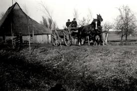 1950 von zwei Pferden gezogener Ackerwagen 
