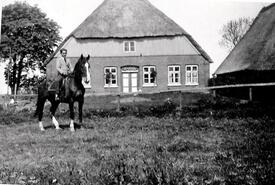 ca. 1950 Rückseite des Gehöftes Dibbern in Honigfleth in der Gemeinde Stördorf. Davor auf dem Pferd sitzend der Sohn des Landwirtes.
