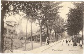 1905 Mühlenstraße und Kornwindmühle in Wewelsfleth