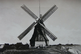 1935 Windmühle auf dem Deich der Elbe bei Brokdorf