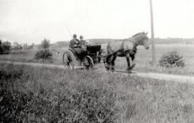 1950 Ausfahrt mit der zweiachsigen einspännigen Kutsche auf dem Hof Dibbern in Honigfleth 