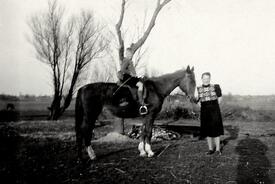 ca. 1950 Bauernjunge versucht sich als Reiter  auf dem Hof Dibbern in Honigfleth