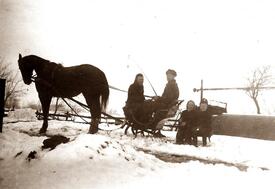 1947 Transportmittel  in der Wilstermarsch bei Eis und Schnee - Pferdeschlitten