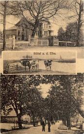 1921 Büttel (Elbe) - Gehöft, Bütteler Außentief mit Bösch, Kastanienallee, Schule